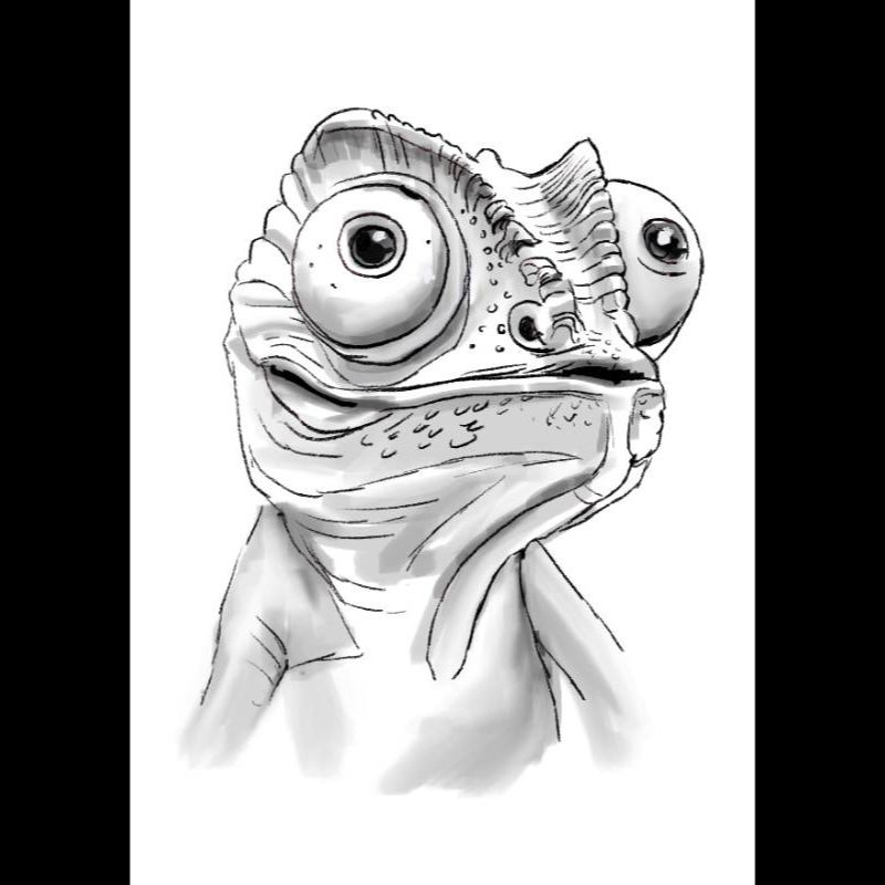 Шаржі на улюбленців портретні чорно-білі