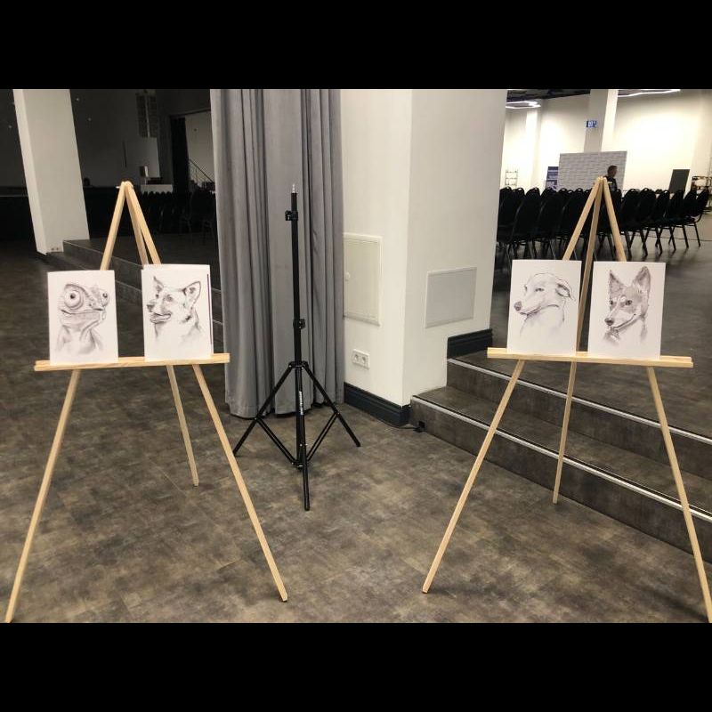 Шаржі на улюбленців портретні чорно-білі