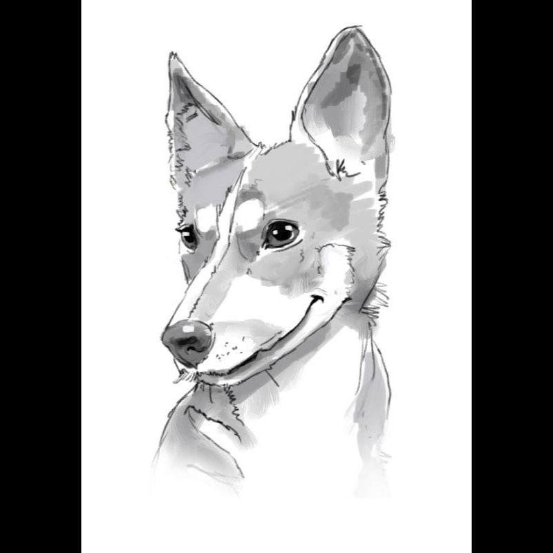 Шаржі на улюбленців портретні чорно-білі