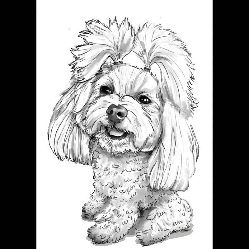 Шаржі на улюбленців портретні чорно-білі